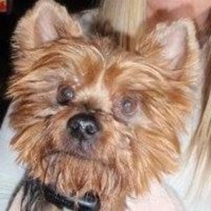 Meet your Posher, Maxie